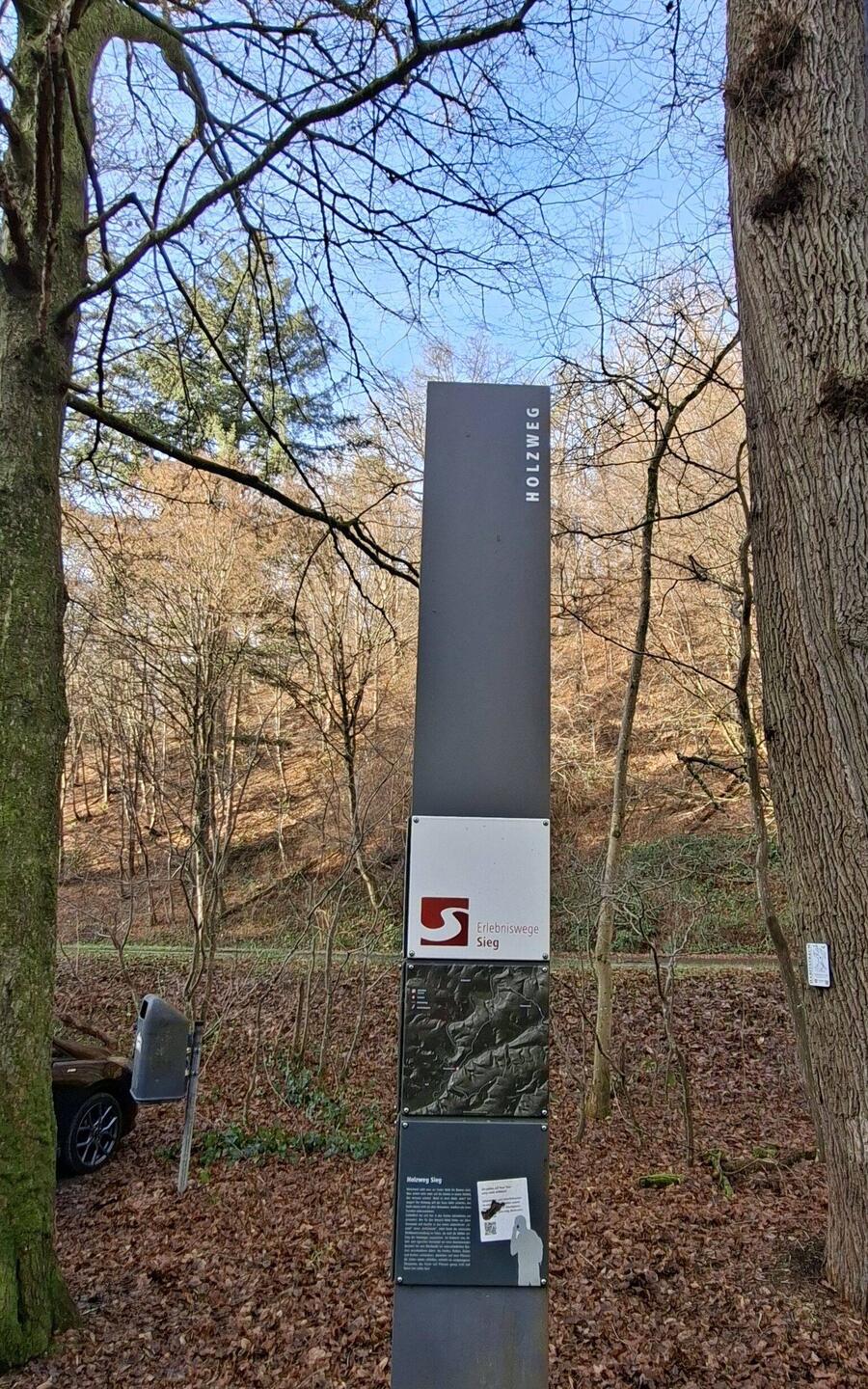 Heute bin ich auf dem Holzweg.....