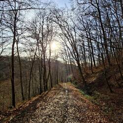 Hinunter zum Ziel, zum Derenbach.