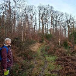 Hier geht's runter....