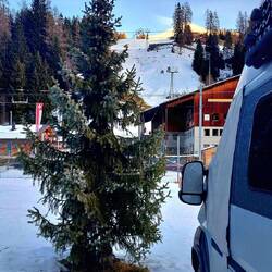 .....mit eigenem Weihnachtsbaum am Platz