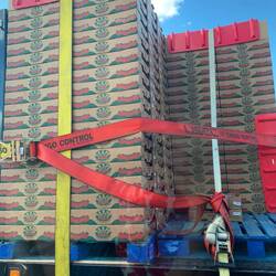 Und Erdbeeren frisch gepflückt