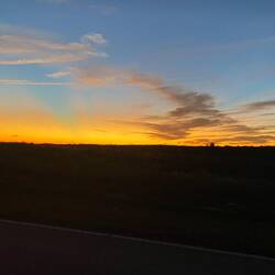 Sonnenuntergang an der Orangenplantage