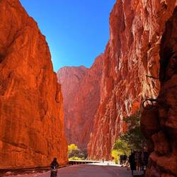 Weiter auf der R12 durch die Todraschlucht