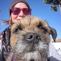 Boje & Frauchen Tag, so sind alle entspannter