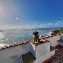 Muss ich jetzt auf jedes Foto?!