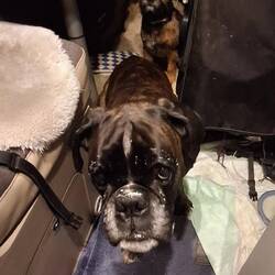 Abendbrot hat geschmeckt