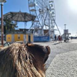 Sonne und sightseeing