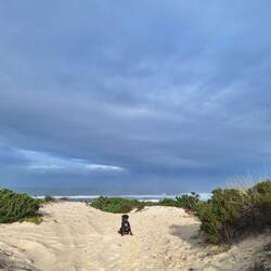 🤩 aus dem Wald in den Ausblick