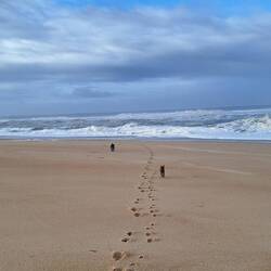 Mal wieder alleinige Freiheit am Strand, wir werden es vermissen