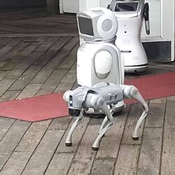 ein Laden voller Roboter