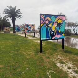 Bilderausstellung am Strand von Südfrankreich