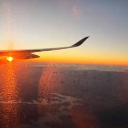 Anflug auf Melbourne 🦘🇦🇺🐨