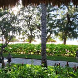Vue sur la plage depuis le bungalow