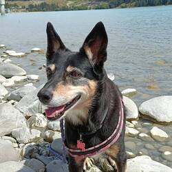 Balade au bord du lac