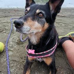 Dernière balade avant dîner