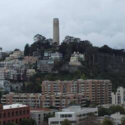 Abschied vom Telegraph Hill an unserem Liegeplatz