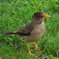 Eindrücke aus unserem Parkbesuch