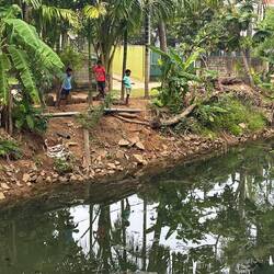 Udsigt fra pool til en gammel hollandsk kanal