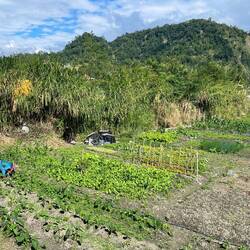 Bäuerin Li Peng bei der Arbeit