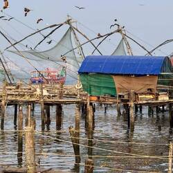 Chinesische Fischernetze, sind überall in den Backwaters weiter südlich zu sehen,beliebtes Fotomotiv