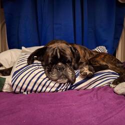 Vorschlafen für die Nachtschicht