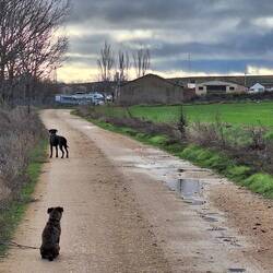Stellplatz im Hintergrund