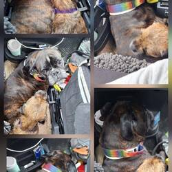 Mutti: Hunger, Langeweile oder der andere nervt