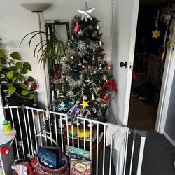 Silkes Weihnachtsbaum