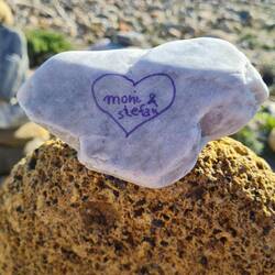 Und wir natürlich auch