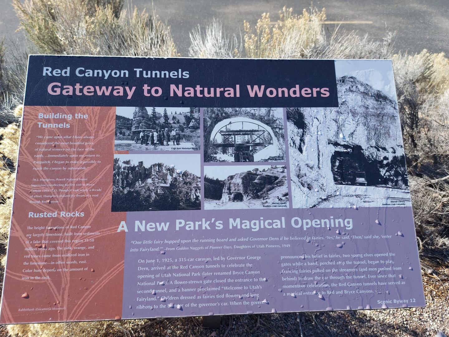 Es geht schon vorm Park los.