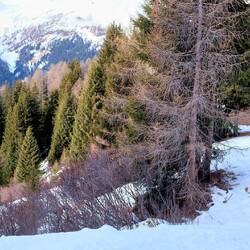 ...die andern Wandern runter