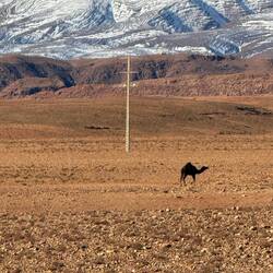 Nachbar an unserem Stellplatz