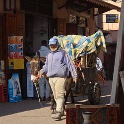Eselkarren mit Bauschutt beladen