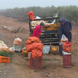 Noch schnell Obst am Straßenrand gekauft