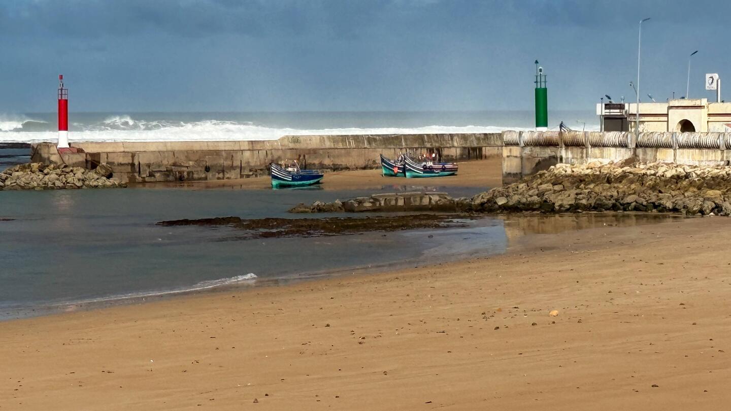 Heute gibt es keinen Fisch😞