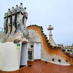 Dragon inspired rooftop