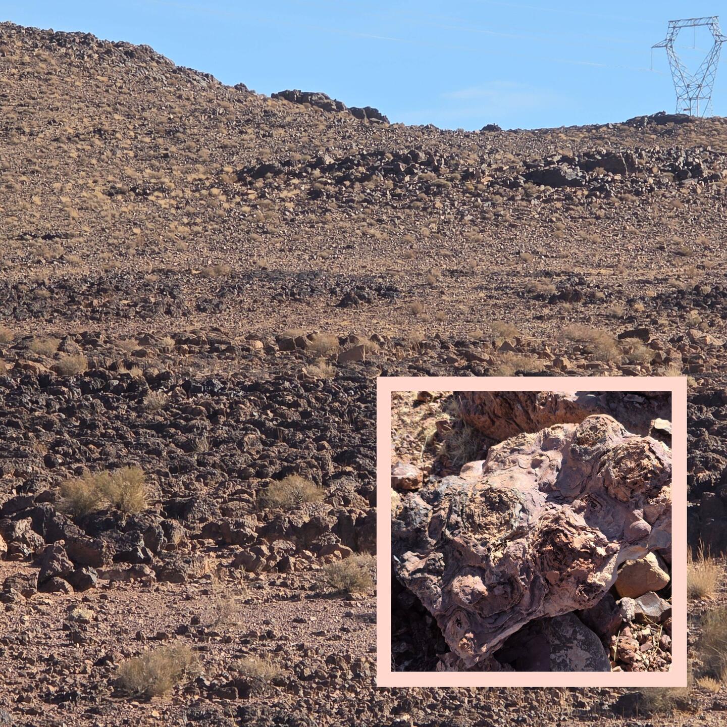 Stromatoliten weisen auf den vulkanischen Ursprung dieser Landschaft hin.