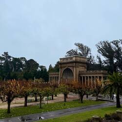 Golden Gate Park