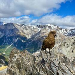 Z'n broer kwam ook nog even gedag zeggen