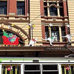 Hier wird sogar der Weihnachtsmann von Kängurus 🦘 gezogen😅