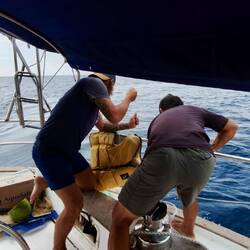 Der Fisch wird gelandet... 🐟