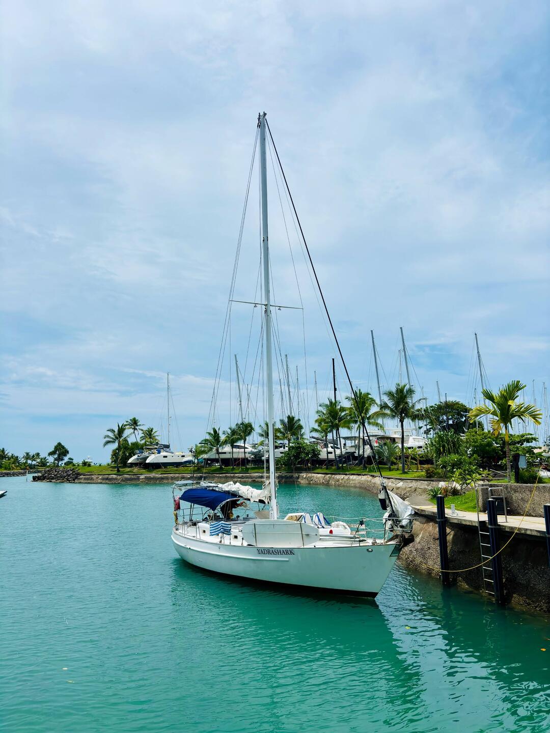 Kim ist pünktlich am Treffpunkt