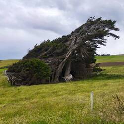 Hier weiß man, woher der Wind weht