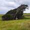 Hier weiß man, woher der Wind weht