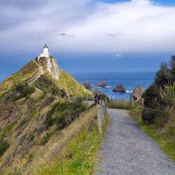 Nugget Point Leuchtturm