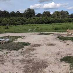 Was machen die denn da? 🤔