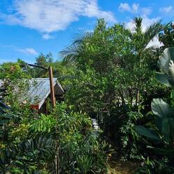 Herrliche Aussicht. Fühle mich etwas wie Tarzan.