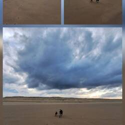 Toben am breiten Sandstrand