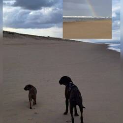 Der Regen zieht über uns hinweg