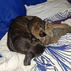 Schlafenszeit: 18 Uhr, nach dem füttern